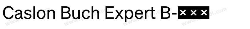 Caslon Buch Expert B字体转换